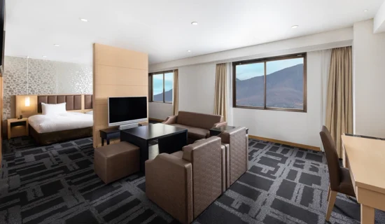 普里维Village初级套房