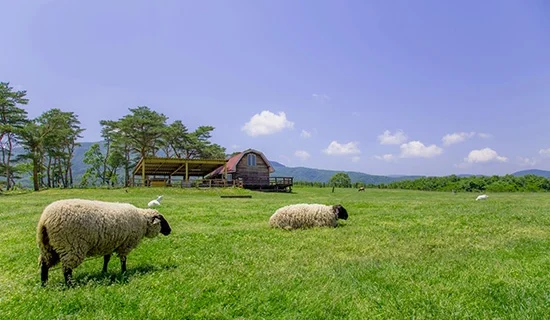 フォトギャラリー｜メルキュール宮城蔵王リゾート＆スパ
