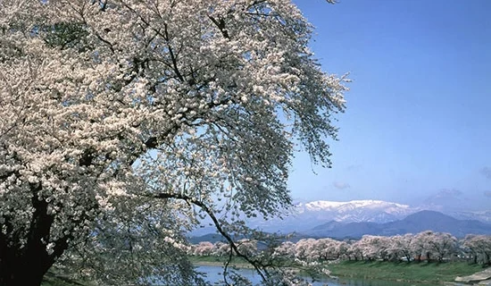 フォトギャラリー｜メルキュール宮城蔵王リゾート＆スパ