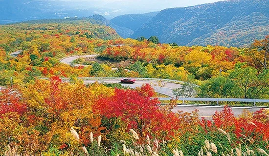 フォトギャラリー｜メルキュール宮城蔵王リゾート＆スパ