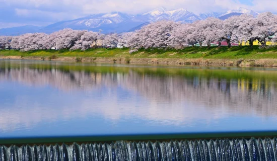 春のおすすめスポット