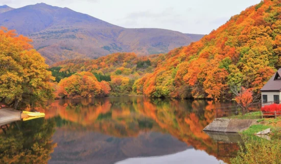 フォトギャラリー｜メルキュール京都宮津リゾート＆スパ