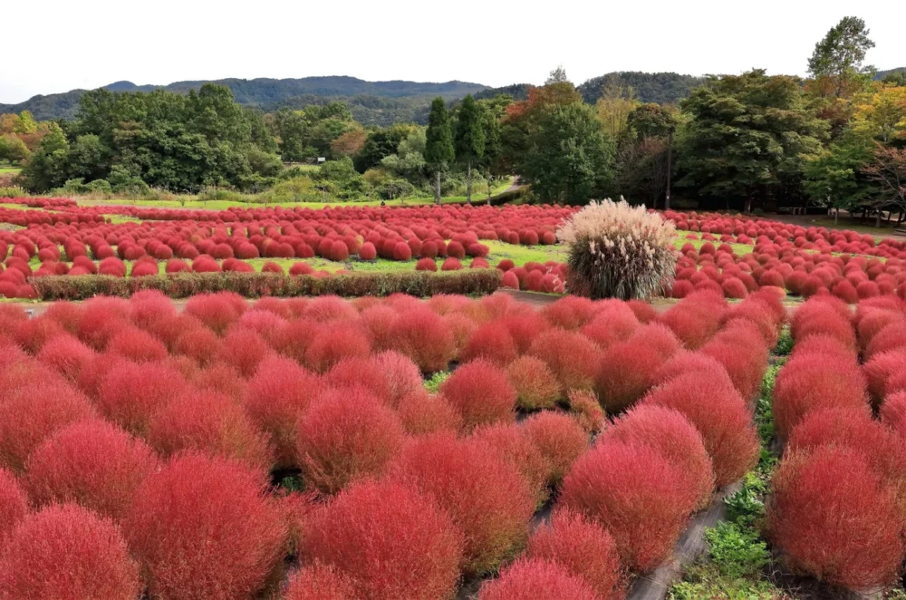 国营みちのく杜湖畔公园