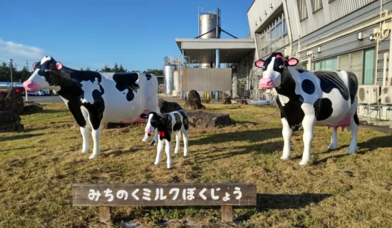 参观雪印牛奶集团みちのく牛奶(株)总部工厂