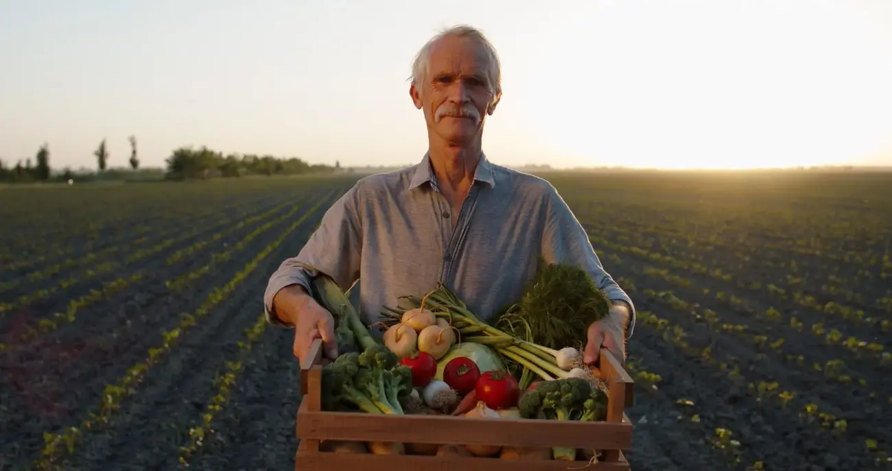 치아후르 마르쉐&아사이치